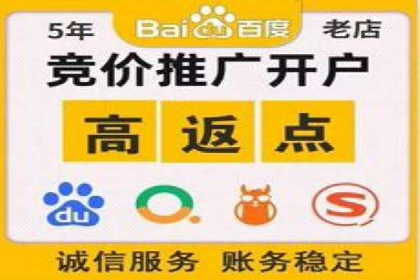 SEO与百度推广结合的营销策略——经典案例解析